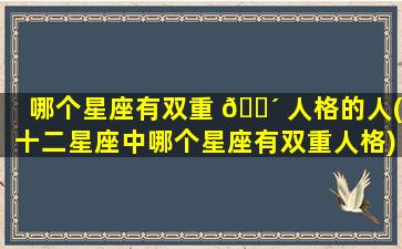 哪个星座有双重 🌴 人格的人(十二星座中哪个星座有双重人格)